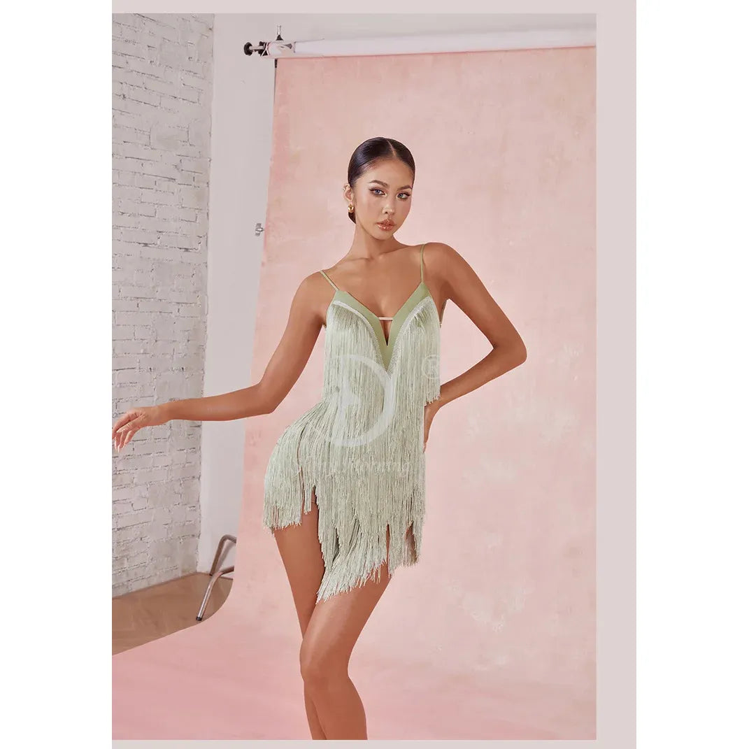 ZYM fringe latin dress competition salsa dress cha cha dress new latin dress wine red black green blue 2420