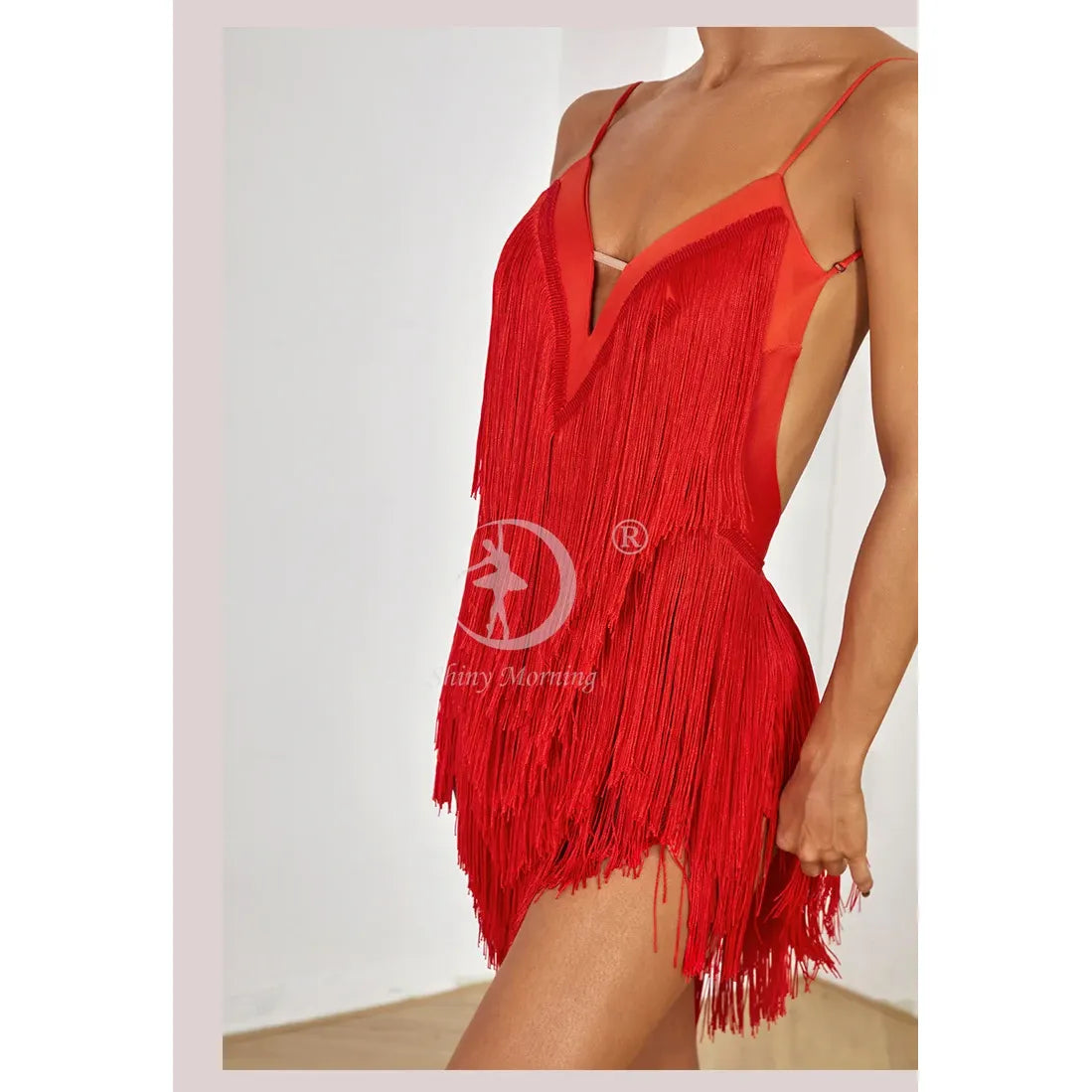 ZYM fringe latin dress competition salsa dress cha cha dress new latin dress wine red black green blue 2420