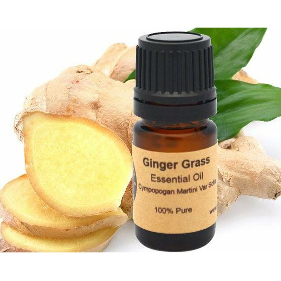 Ginger Essential Oil 5 ml, 10ml or 15 ml